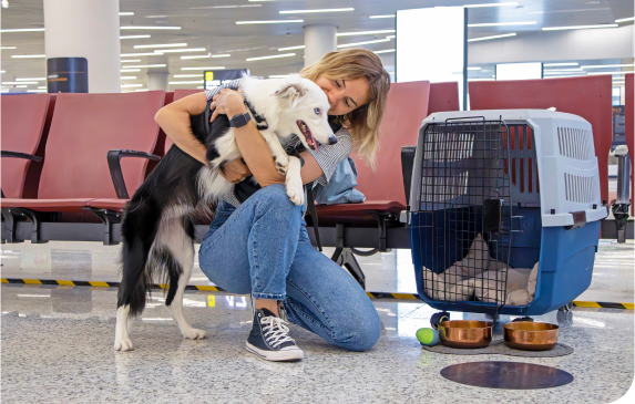 Animal Transport